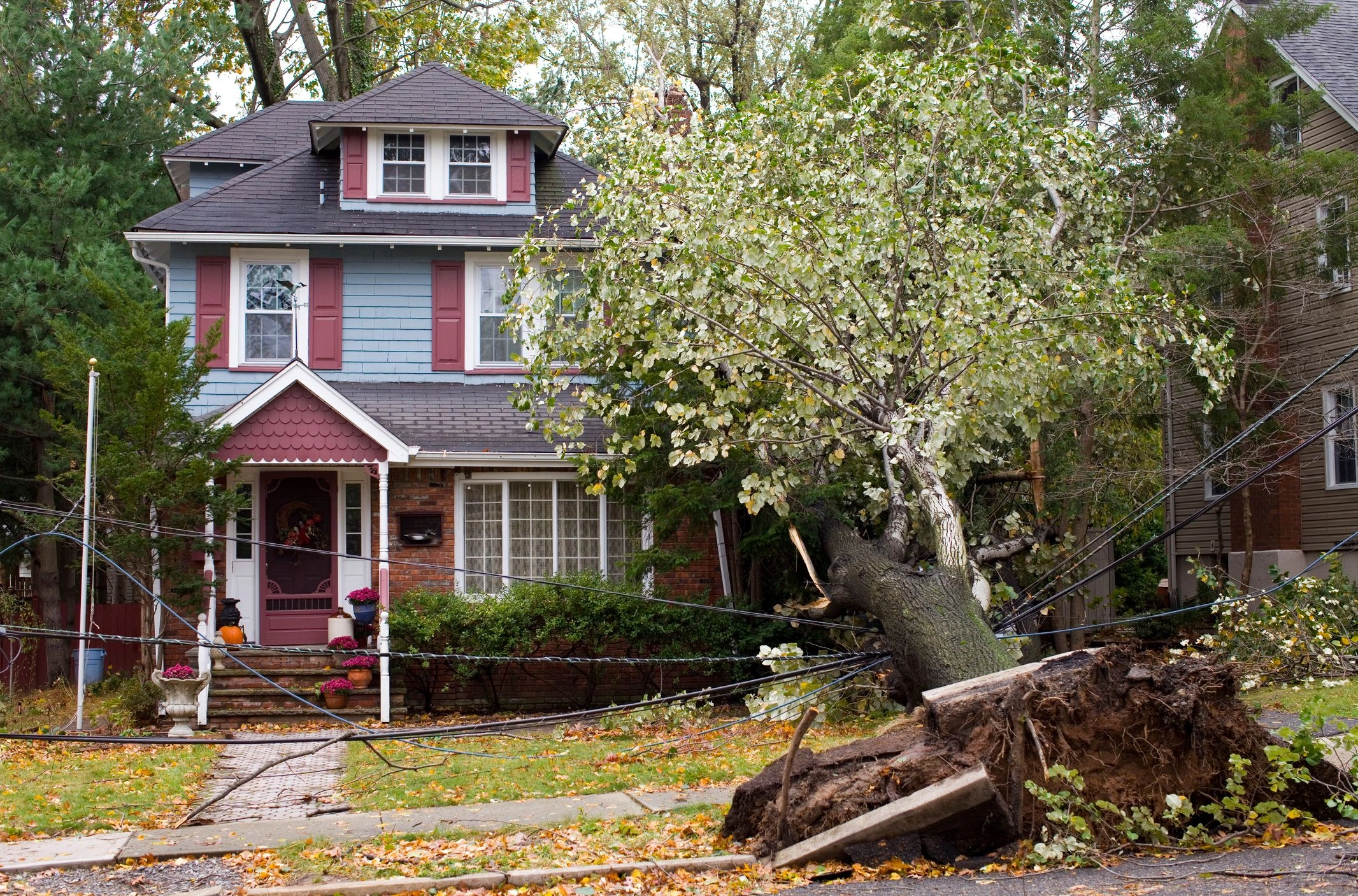 Does homeowners insurance cover a tree falling on your house?