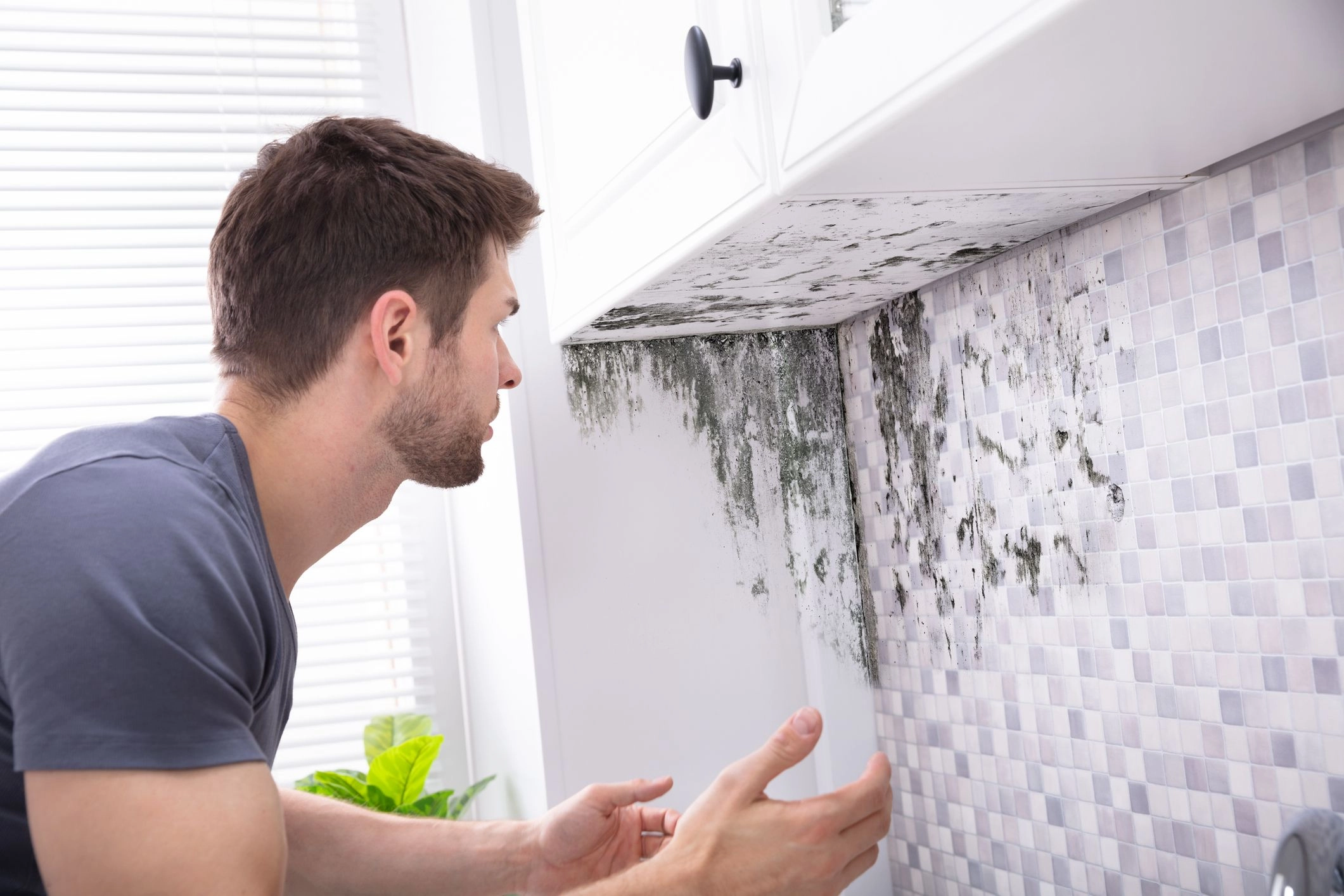 Is mold coverage included in my homeowners insurance policy?